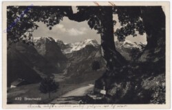 ak174586 Braunwald, Ansicht