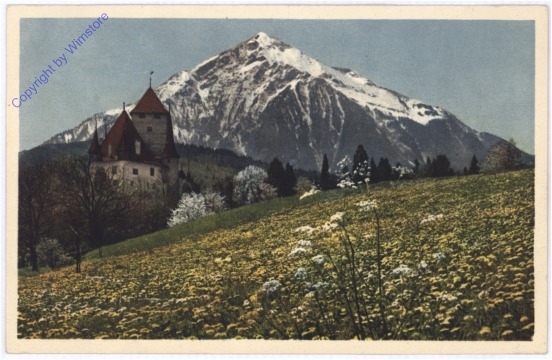 Spiez am Thunersee, Schloss und Niesen