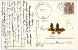 Thun, Schloss mit Blümlisalp