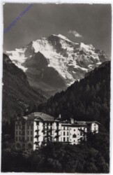 ak174697 Interlaken, Hotel Regina Palace & Jungfraublick