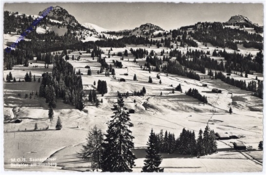 ak174702 Hornberg, Skifelder