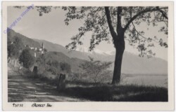 Ronco, Ansicht
