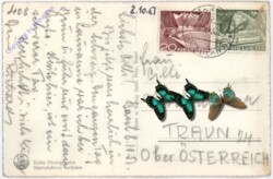 Basel, Teilansicht mit Rathaus und Münster