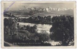 ak174724 Bern, Elfenau mit Blick auf die Alpen