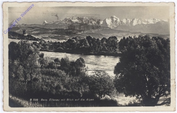 ak174724 Bern, Elfenau mit Blick auf die Alpen