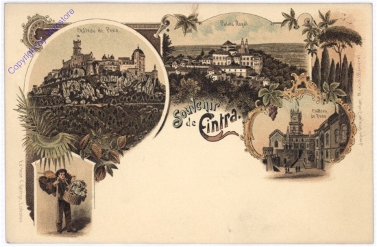 ak174978 Cintra, Souvenir de Cintra