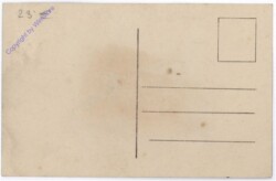 Gorni Milanowatz, Verpflegung der neutralen Gesandten und deren Familien