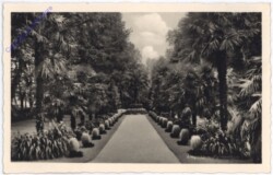 ak175051 Liegnitz, Palmenhain