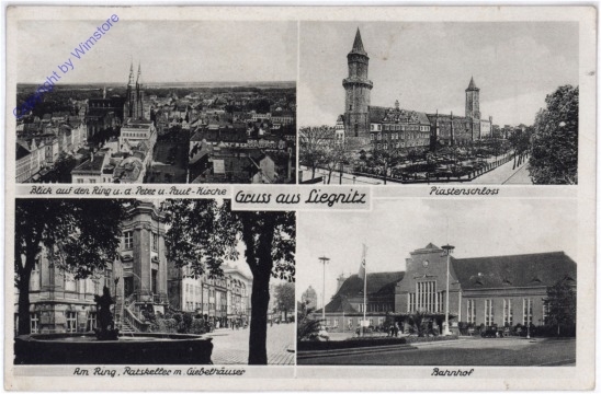 Liegnitz, Multiansicht