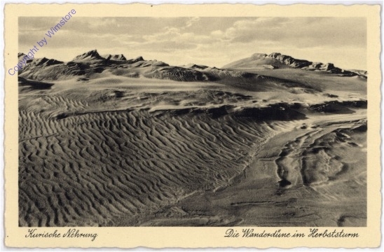 ak175097 Kurische Nehrung, Die Wanderdüne im Herbststurm