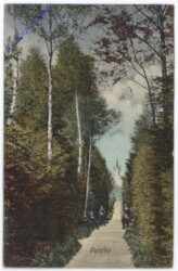 ak175320 Policka, Ansicht