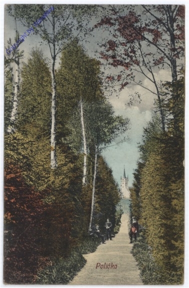 Policka, Ansicht