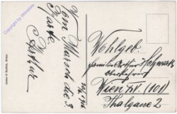 Burgruine Novyhrad, Ansicht