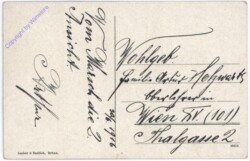 Burgruine Novyhrad, Ansicht