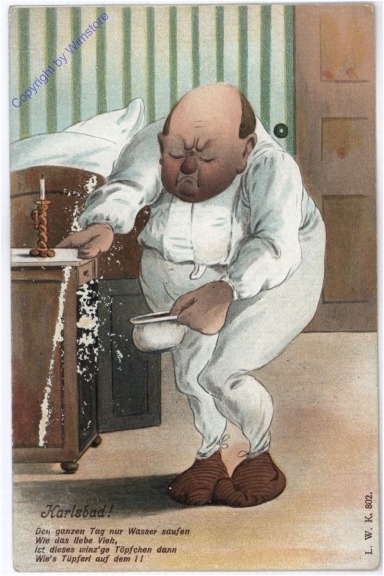 ak175396 Karlovy Vary (Karlsbad), Vers "Den ganzen Tag nur Wasser saufen..."