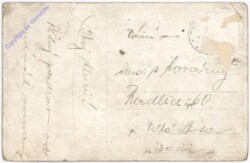 ak175491a Verletzte Hasen