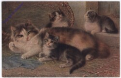 ak175498 Katze mit Kätzchen