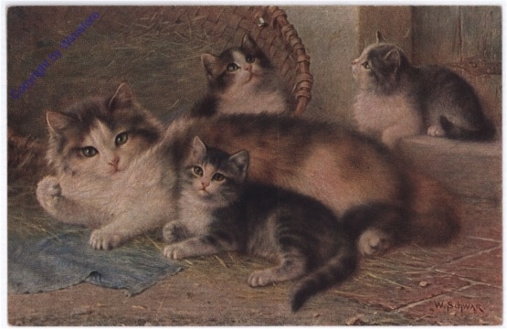 ak175498 Katze mit Kätzchen