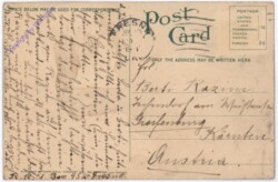 Hawaii: Honolulu, Banyan Tree