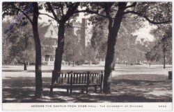 Illinois: Chicago, University of Chicago, Across the Campus from Cobb Hall