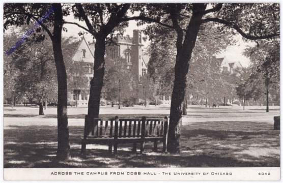 ak175519 Illinois: Chicago, University of Chicago, Across the Campus from Cobb Hall