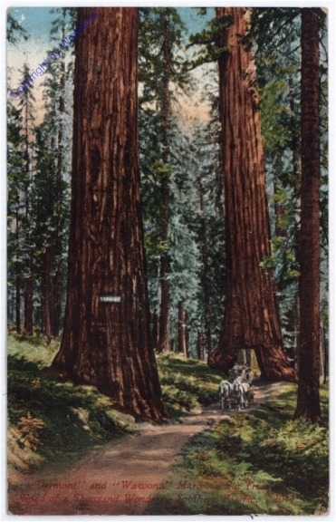 ak175532 Kalifornien: Vermont and Wawona