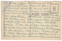 Kalifornien: Palm Springs, Wild Baby Burro on the Desert