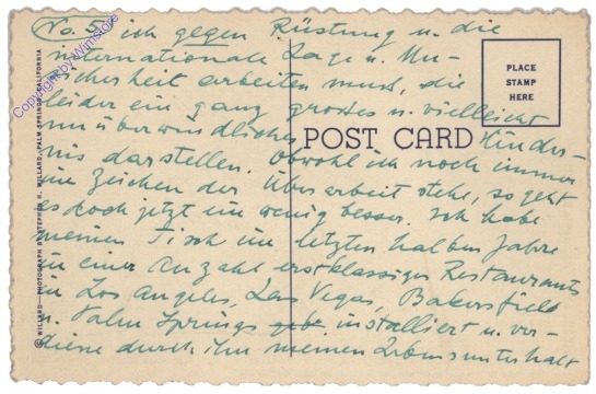 Kalifornien: Palm Springs, Wild Baby Burro on the Desert