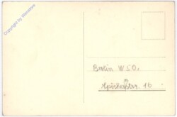 ak175605a Schmitz Ludwig, Ross A3049/1