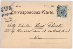 Raimund F., als Aschenmann