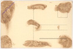 Dagover Lil, Ross 7084/2