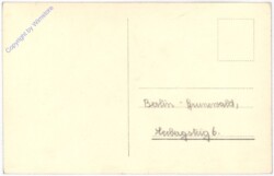 ak175743a Schmitz Sybille, Ross 3231/1