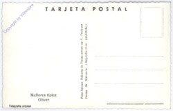 ak175893a Mallorca, tipica Olivar
