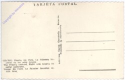 ak175980a Elche, Huerto del Cura