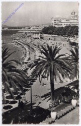 St-Raphael, La Plage et les Palmiers