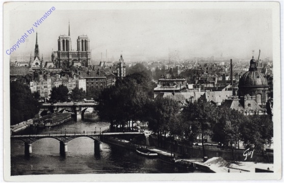 Paris, Perspective sur l'ile de la Cite