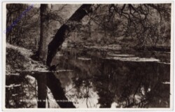 Hindhead, Waggoners Wells