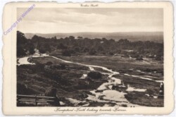 Hampstead Heath, lokking towards Harrow