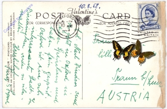 London, Windsor Castle from Home Park