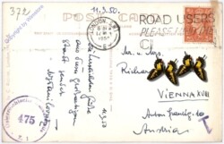 London, Tower Bridge, View