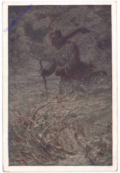 ak176432 Im Schneesturm