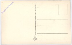 Gefangene Offiziere des russischen Garderegiments Friedrich bei Krassnik