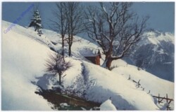 ak176580 Winterlandschaft
