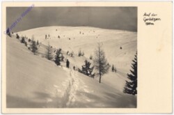 Arriach, Auf der Gerlitzen