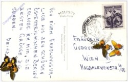 Mallnitz, Alpenhaus Hochalmblick