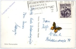 Velden, Schlosshotel