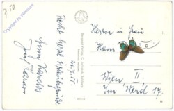 Abtenau, g.d. Wieswand, Tennengebirge