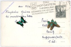 Bad Hofgastein, Ansicht