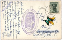 Krimml, Blick vom Wasserfallweg auf Krimml