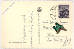 Russbach, Salzburger Dolomitenstrasse, Pass Gschütt